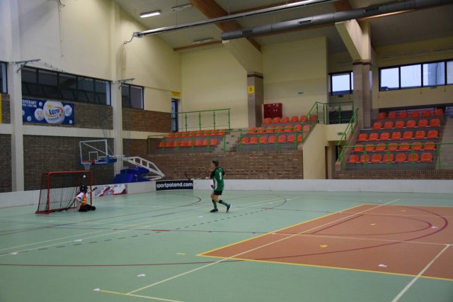 igdzuni 29